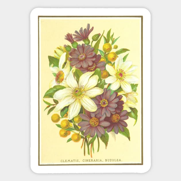 Clematis, Cineraria, Buddlea Sticker by Seventy Seven